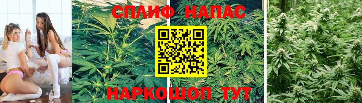 МАРИХУАНА VHQ  Вход с VPN  Канабис конопля  Бошки Шишки Ganja  Сергиев Посад  Каннабис SATIVA & INDICA 